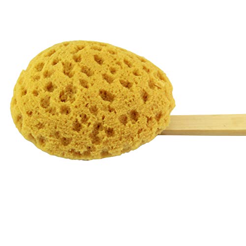 Shower Body Brush Sea Sponge Long Wooden Handle Back Scrubber Bath Brush Gentle Exfoliating Lotion Applicator #TOP2