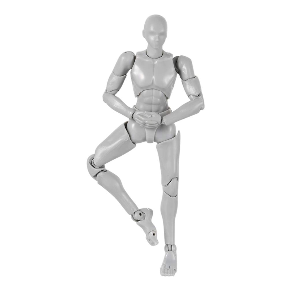 Amazon.com: iGREATWALL Action Figure Model, Human Mannequin 2.0