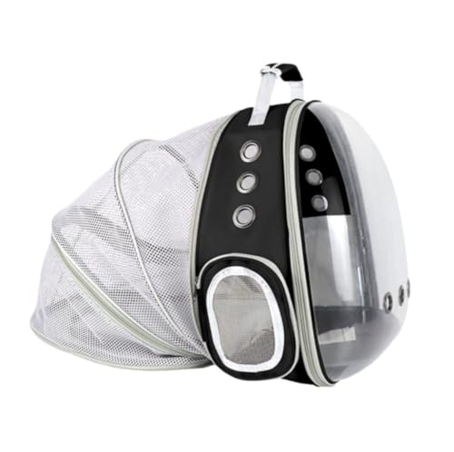 ybg bN  L oug\ȔLobNpbNybggxLALƌpybgLA^Ǝqp ybgpi(A)