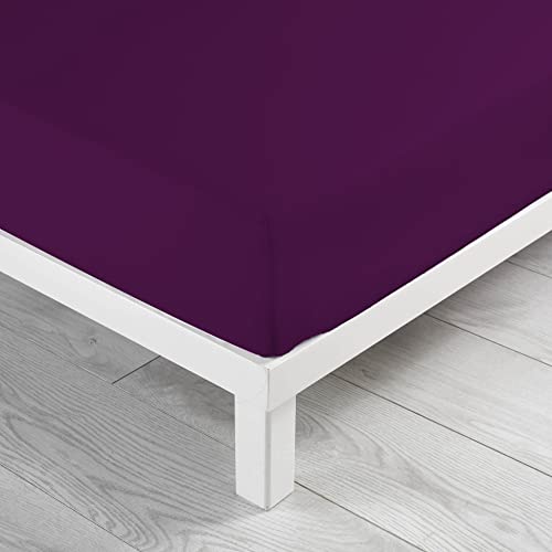 douceur d'intérieur 1641317 Drap Housse Uni Coton Myrtille 180 x 200 cm
