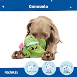 Barkbox Consuela the Cactus 2-in-1 Interactive Plush Dog Toy - Squeaky Dog Chew Toy with Crinkle Layers - for Large Dogs and Puppies - Image 4