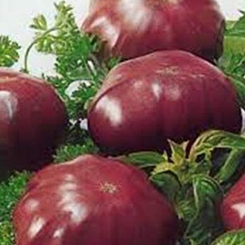 Saniswink Garden Flower Plant Seeds 100Pcs Rare Tomato Seeds Delicious Fruit Plant Vegetable Home Garden Farm Decor