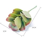 plantas artificiales decorativas pequeñas,plantas artificiales decorativas colgantes,plantas artificiales decorativas con macetero,plantas artificiales decorativas acuario,plantas artificiales decorativas bambu,plantas artificiales decorativas lavanda,plantas artificiales decorativas navidad,plantas artificiales grandes 150,plantas artificiales grandes decoracion,plantas artificiales grandes baratas,plantas artificiales grandes acuario,plantas artificiales grandes exterior,