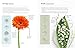 The Kew Book of Drawing Flowers