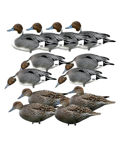 Avery Banded GHG Pro-Grade Silhouette Duck Decoys – Durable, Photorealistic Waterfowl Decoys with One-Piece Steel Stakes (Dozen), Pintail Duck