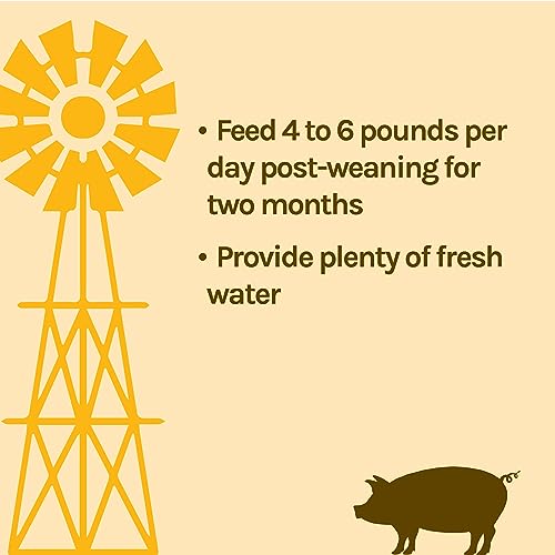 Alimento Proteico 16% para Cerdos en Crecimiento 40 lbs miniatura 6