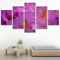 SIGNWIN 5 Panel Canvas Wall Art Modern Art Bohemian Bouquet Colorful Cool Floral Group Multicolor Photography Realism for Home Decorations Ready to Hang - 60