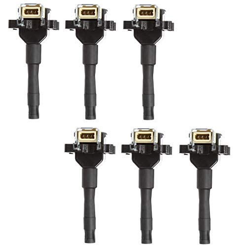 Set of 6 Delphi Direct Ignition Coils for BMW E30 E36 E34 325i 325is 525i M3 L6