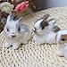 SelHeng White Mini Simulation Rabbits, Cute Plush Rabbits Lifelike Plush Bunny Realistic Rabbit Miniatures, Home Party Decors Model Gift Miniatures Decorations