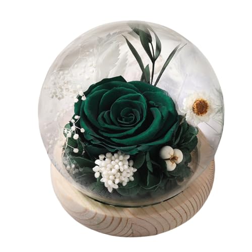 Brfveob �v���U�[�u�h�t�����[�K���X�J�o�[ �v���U�[�u�h�t�����[�A�`���C�j�[�Y�o�����^�C���f�[�A�o�����^�C���f�[�A���ƃV�[�Y���A��������a�����v���[���g�Ƃ��Ēj�̎q�Ə��̎q�̐e�F�ɁB (A008)