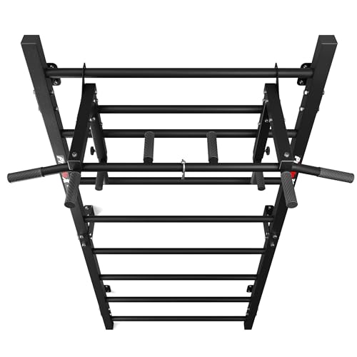 K-Sport: Trainingsset - Sprossenwand mit Dip Station & Klimmzugstange I Kraftstation mit Pull-Up Bar, Dip Stange für anspruchsvolle Workouts, inkl. E-Book