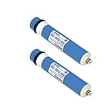 Swan B0CRDPHS4P lato 2