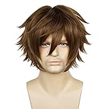 LABEAUTÉ Mens Short Brown Cosplay Wigs With Bangs Male Unisex Fluffy Heat Resistant Wig Hair for Party and Halloween for Gift + Free Cap