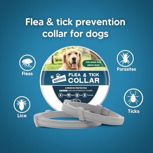 Dog Flea Tick Collar Flea  Tick Prevention for Dogs 8 Months Protection Dog Flea Collar Adjustable Collar Fits Large Dogs  Puppies Flea Treatment Collar for Dogs 2 Pack  Cucciolini Doodles Dog flea tick collar flea  tick prevention for dogs 8 months protection dog flea collar adjustable collar fits large dogs  puppies flea treatment collar for dogs 2 pack   cucciolini doodles