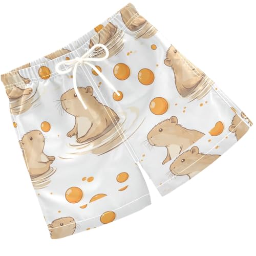 Pigsaly Boys' Swim Board Shorts Cute Capybara Balls Boy's Swim Trunks Kids Swimwear 3T Multicolor - Main Image