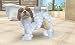 Nintendo gs + Cats Golden Retriever & seine neuen Freunde - Nintendo Selects