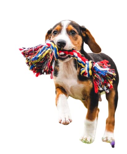 Taiyo Pluss Discovery® Dog Chew Toys, Size: (13/34 CM) Multi-Color Double Knot Rope Toys, 2 Knot Cotton Chewing Rope Toy for Dogs, Suitable for Small, Medium & Large Dogs (Color May Vary) (B09LYJC53J) Amazon Price History, Amazon Price Tracker