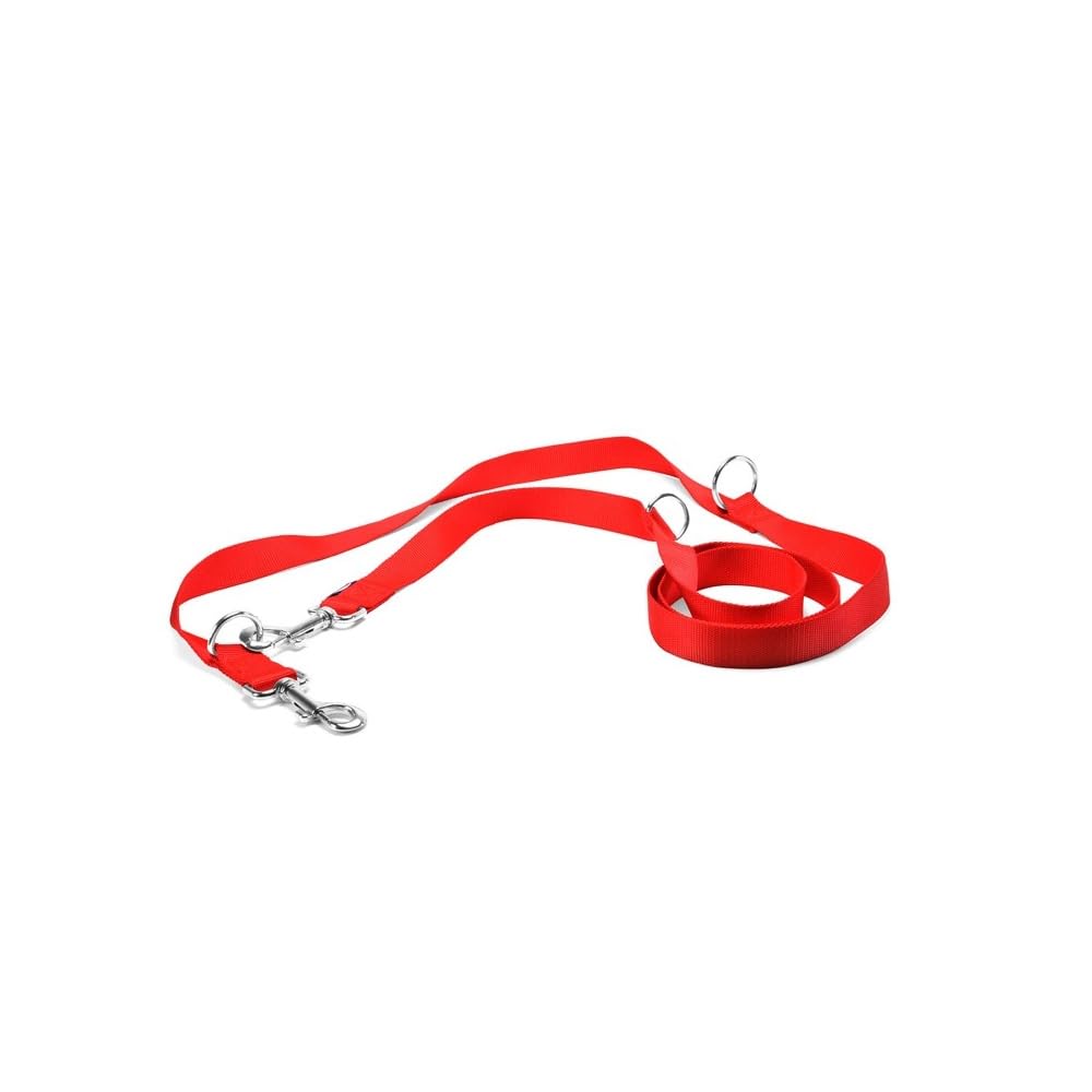 Record - Dog Training Lead - Made of Nylon - Equipped with Metal Carabiner - Very Durable - Red - Size L - 2.2 cm - Length 220 cm