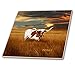 3dRose ct_62229_2 A Texas Longhorn Ceramic Tile, 6