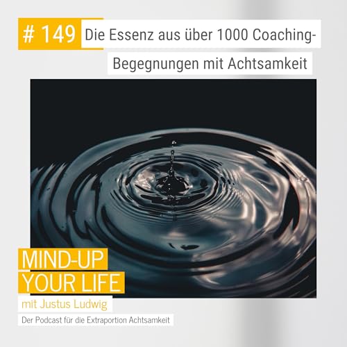 Die Essenz aus &uuml;ber 1000 Coaching-Begegnungen mit Achtsamkeit #149