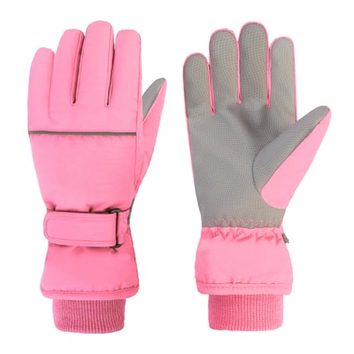 XL[O[u n LbY hۉ j̎q ̎q h  Ɍ ĂԂ ~ WjA H g ϖՐ ~ hf ₷ GΉ 5{w^Cv ʊw Ⴉ V ] AEghA(sN,XL)