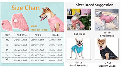 BT Bear Dog Winter Coat with D Ring,Super Light Small Dogs Warm Coat Zip Waterproof Pet Cat Warm Jacket Vest Apparel for Small Medium Dogs(XL,Dark blue) - Image 4