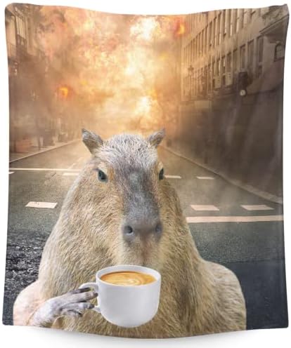 Capybara Blanket Gifts, 40"*50" Flannel Throw Blanket, Soft Warm Fuzzy Fluffy Plush Blankets for Girls Boys, for Sofa Couch Bed Travel Room Decor