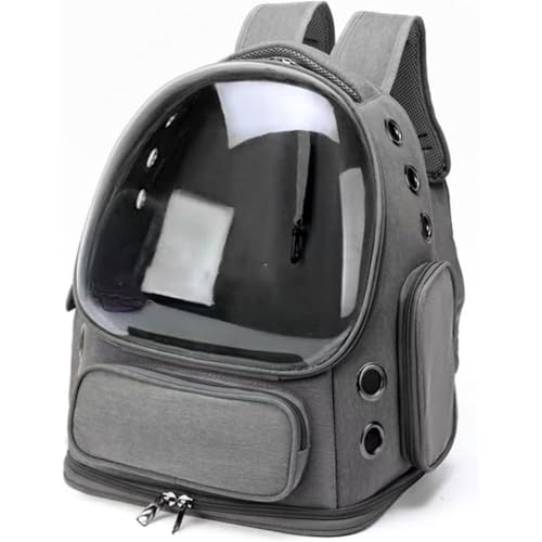 WnbsiueybgL[obO FDLvZfUC ʉ@ s ^ Lp NA y ʋC 360°F S݌v @ ybgpi Kړ XgXy (O[)