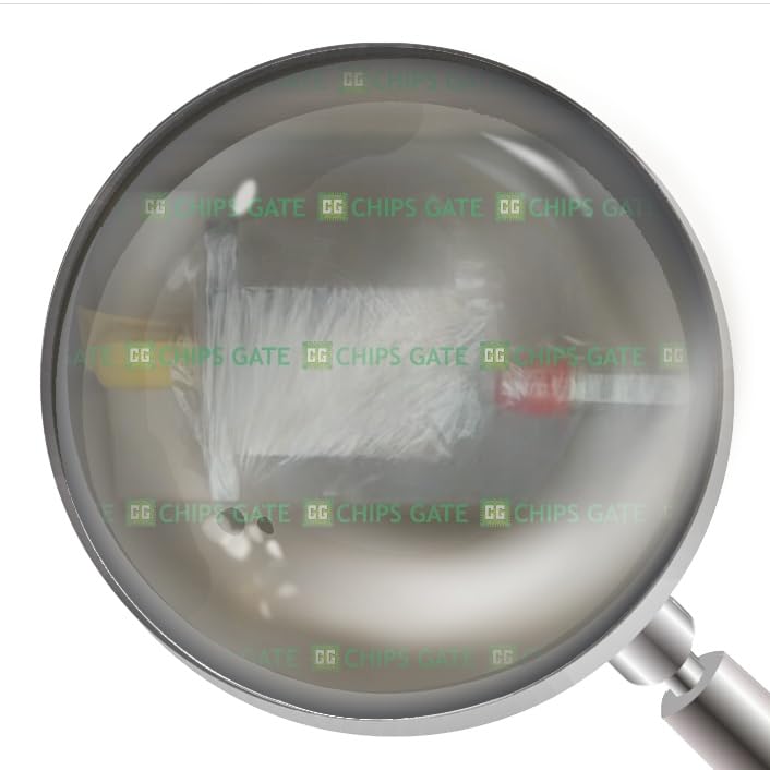 New Factory Sealed VPL-B1303F-PK12AA Servo Motor