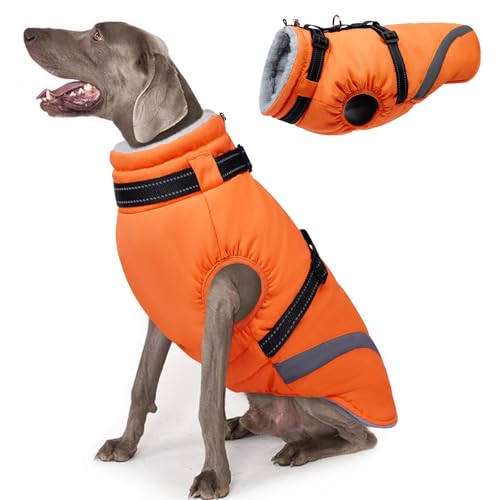 Lelepet  phR[g ~ ybg hWPbg g ߉\ H~  ˃Xgbv ȕR[g Ȃ h h  _EWPbg @ ^Kp (IW, 2XL)