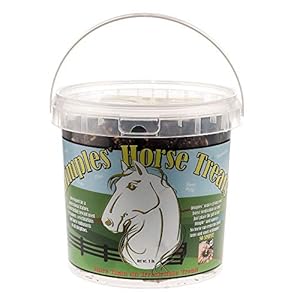 Dimples Horse Treats with Pill Dimples 3 LB