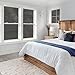 Gila Privacy Black Static Cling Residential DIY Window Film No Glue No Adhesive 3ft x 6.5ft (36in x 78in) - PB78