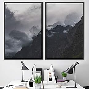 signwin 2 Piece Framed Canvas Wall Art Monochromatic...