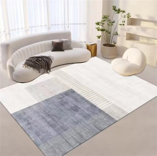 Tapis de salon lavable en machine pour éliminer les taches tenaces - 2
