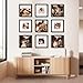 BSRHOME 12x12 Picture Frame Set of 9, Display Pictures 8x8 with Mat or 12x12 without Mat, Multi Collage Gallery Square Photo Frames for Wall or Tabletop, Black