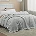 Bedsure GentleSoft Sherpa Fleece Blanket Queen Size for Bed, Non-Heated, Thick and Warm Throw for Women and Men, Soft Fuzzy Plush Queen Blanket for Winter, Light Grey, 90x90 Inches