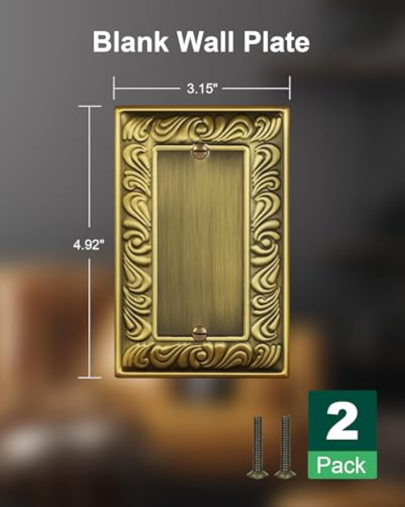 2-Pack Paisley Pattern Blank Outlet Cover Wall Plate