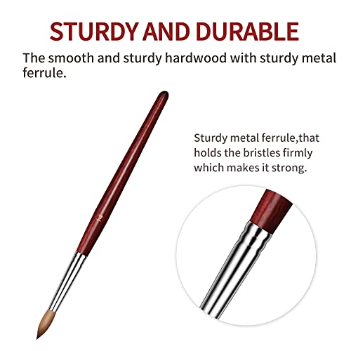 Ailisaail 7Pcs Acrylic Nail Brush, Nail Brushes For Acrylic Application, Nail Art Brushes With Red Wood Handle, Acrylic Nail Tools For Beginner & Professional, Size 2/4/6/8/10/12/14 #TOP4