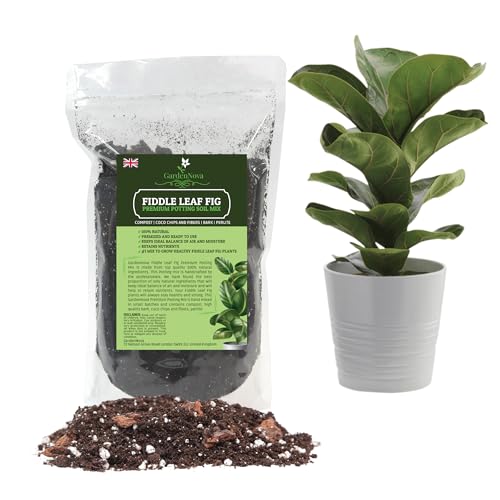 Fiddle Leaf Fig House Plant Soil Premium All Purpose Blend - Premium Compost, Bark, Coco Chips and Fibers, Perlite - 5 Liters Bag