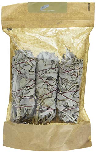 3x Salbei-Stäbe 5-6 Inch/Bündel (je ~30-40gr.) von Native-Spirit.eu - Smudge Stick Medium~15cm (5-6 Inch) white sage