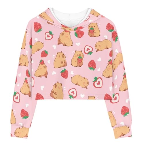 Cozeyat Girls Long Sleeves Hoodies,Softy Crop Tops Pullover for Kids Teens Sweatshirts,5-14 Years