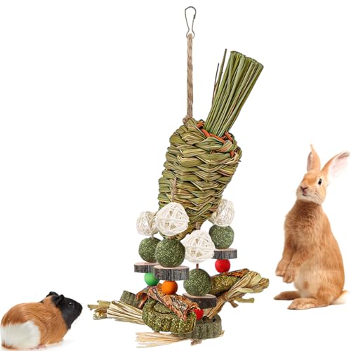 Mechpia Rabbit Toy, Bunny Cage Hanging Chew Toy & Treats ...