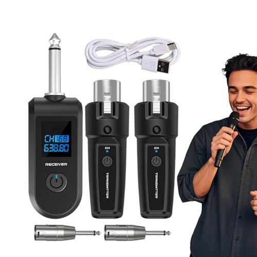 Microphone sans fil transmetteur récepteur rechargeable anti interférence 10 canaux
