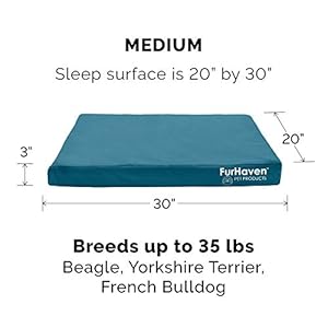 Furhaven-Water-Resistant-Cooling-Gel-Dog-Bed-for-MediumSmall-Dogs-w-Removable-Washable-Cover-For-Dogs-Up-to-35-lbs-IndoorOutdoor-Logo-Print-Oxford-Polycanvas-Mattress-Deep-Lagoon-Medium - Cucciolini Doodles   Furhaven-Water-Resistant-Cooling-Gel-Dog-Bed-for-MediumSmall-Dogs-w-Removable-Washable-Cover-For-Dogs-Up-to-35-lbs-IndoorOutdoor-Logo-Print-Oxford-Polycanvas-Mattress-Deep-Lagoon-Medium