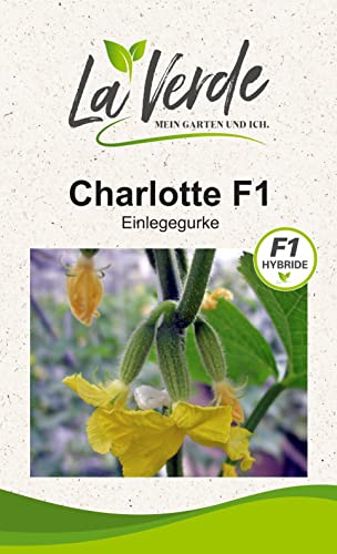 Charlotte F1 Gurkensamen