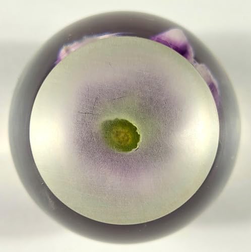 Image of 60mm Real Purple Carnation in Crystal Clear Lucite Resin Ball January Birth Month Flower Anniversary Wedding Engagement Valentine Mother's Day Gift Botanist Herb Paperweight Display Decor Collection