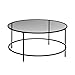 Sauder 414970 Harvey Park Coffee Table, L: 35.98" x W: 35.98" x H: 16.50", Black/Clear Glass