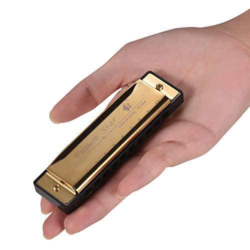 KKmoon Chave de C Diatonic Harmônica Mouthorgan com palhetas ABS Design de superfície de espelho 10