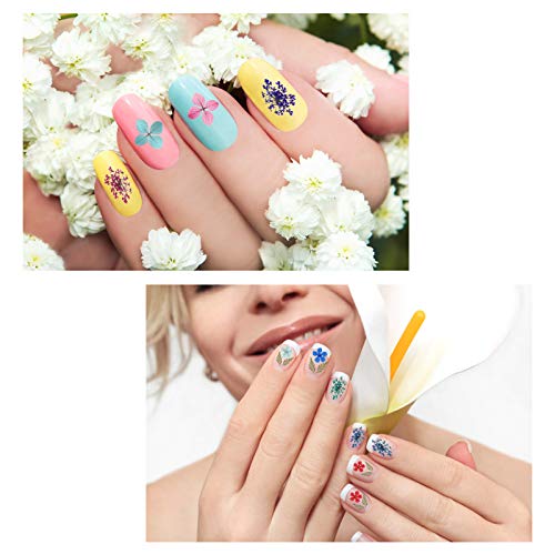 Firtink 144 Stücke Nagel Getrocknete Blume, 4 Box 3D Nägel Kunst Trocken Blumen mit Pinzette Blumen Nagelkunst Aufkleber… – Bild 8
