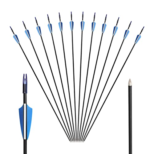 Trintion 12 Pcs 30 inch Archery Carbon Arrows Spine Fiberglass Practice Targeting Arrows Removable Nock Hunting Arrows Kit for Youth Beginner Recurve Bow